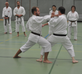 Karate Kata Bunkai Karate Kata Bunkai