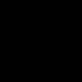 Sonnenfinsternis.jpg